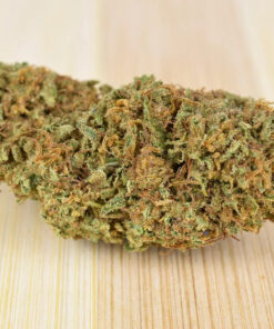 Strawberry Diesel 2023