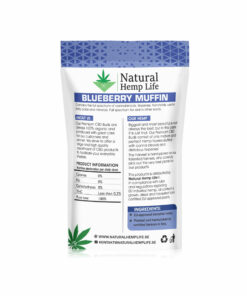 blueberry muffin back